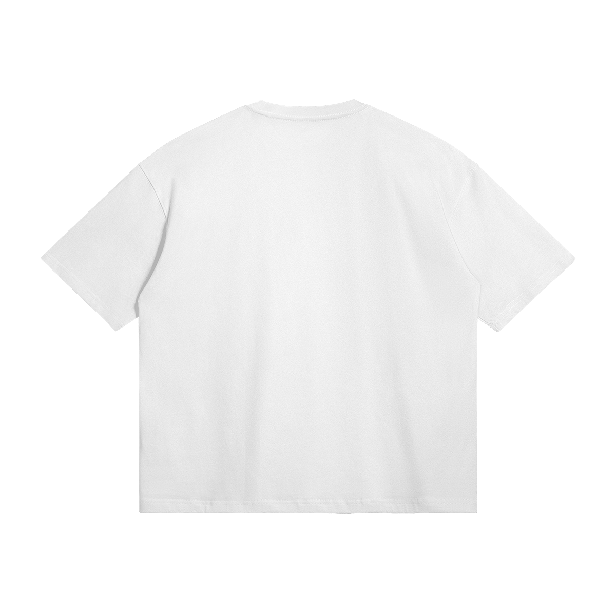 Palestine Collegiate Embroidered and Printed Premium Boxy Tee