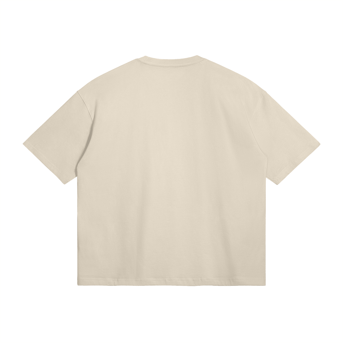 Palestine Collegiate Embroidered and Printed Premium Boxy Tee