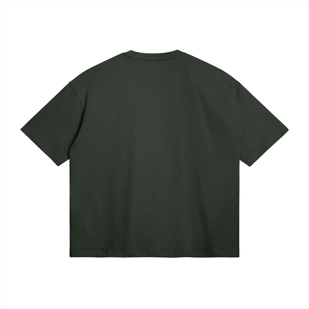Palestine Collegiate Embroidered and Printed Premium Boxy Tee