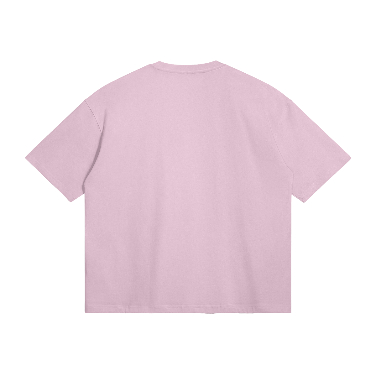 Palestine Collegiate Embroidered and Printed Premium Boxy Tee