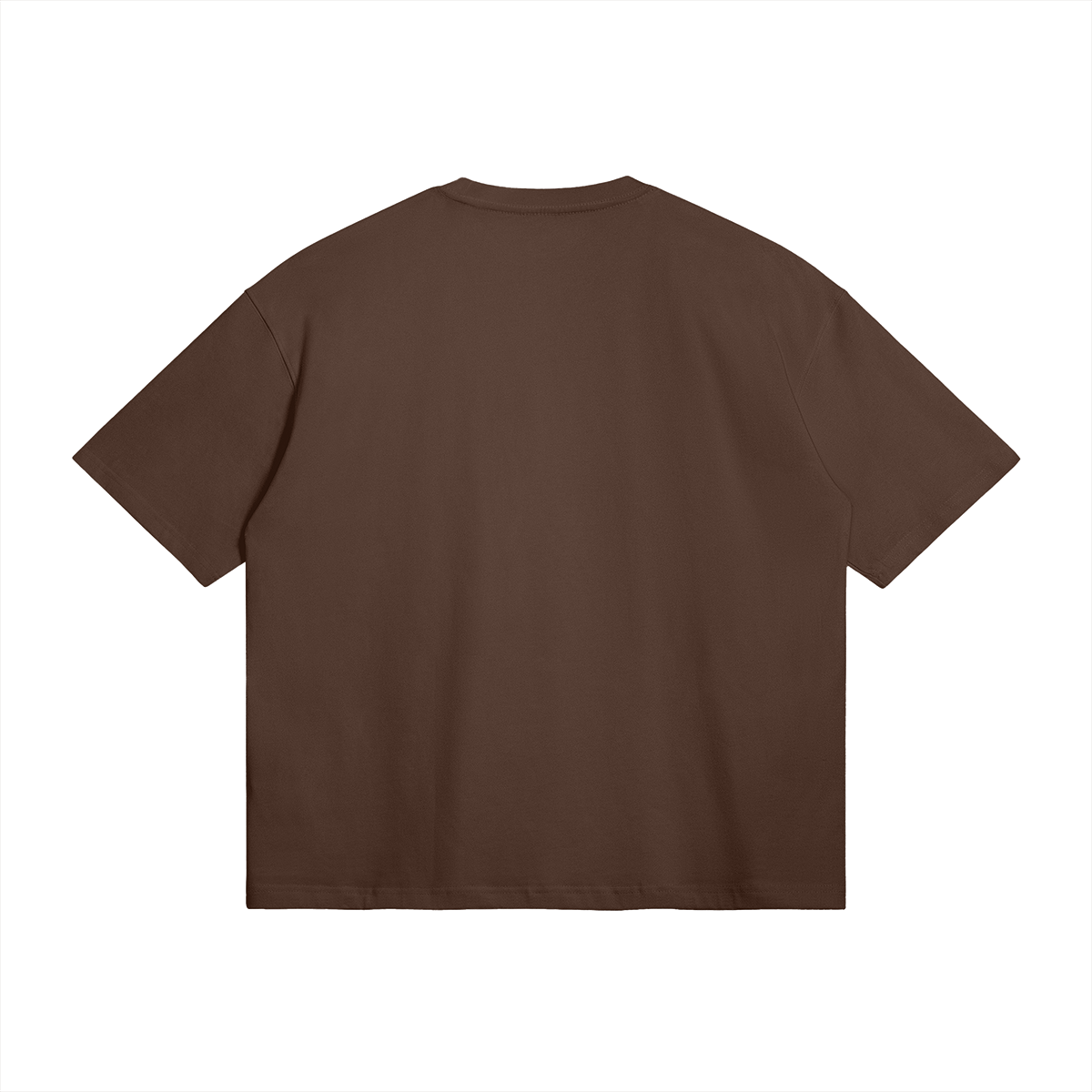 Palestine Collegiate Embroidered and Printed Premium Boxy Tee