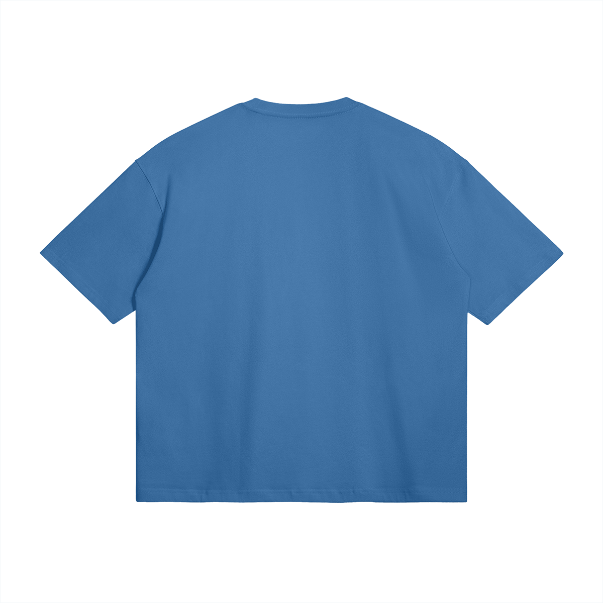 Palestine Collegiate Embroidered and Printed Premium Boxy Tee