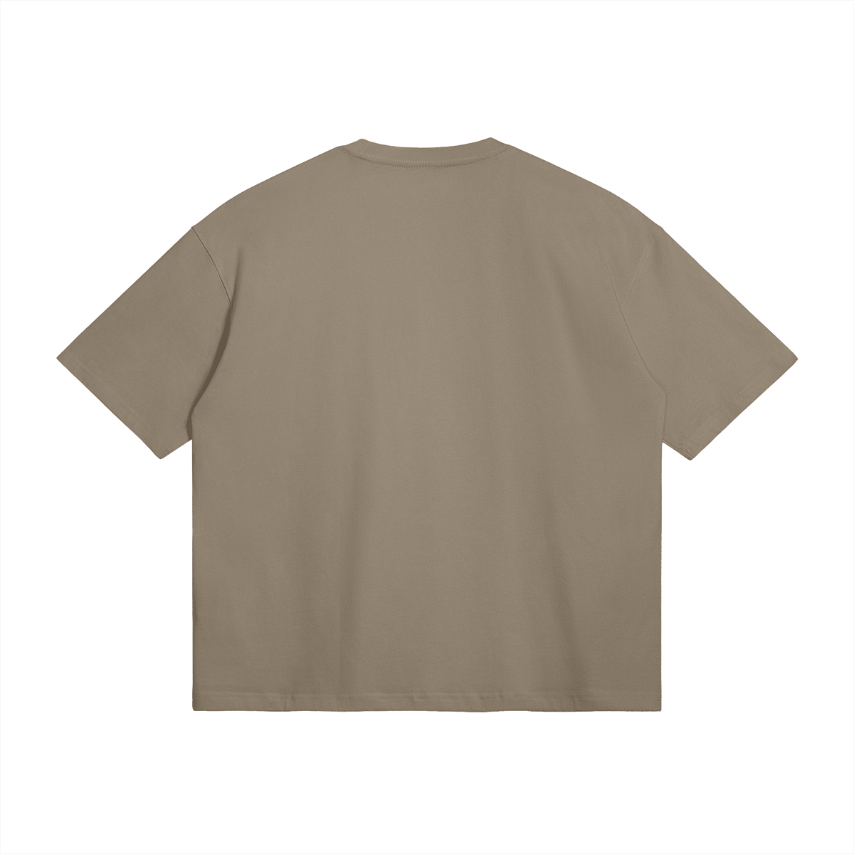 Palestine Collegiate Embroidered and Printed Premium Boxy Tee