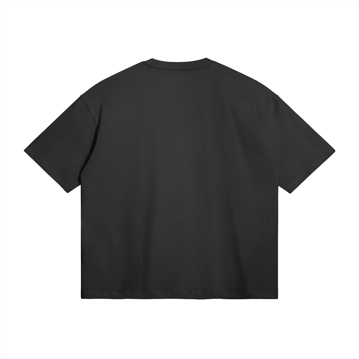 Palestine Collegiate Embroidered and Printed Premium Boxy Tee